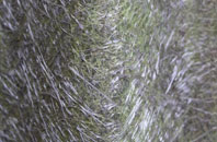 Hadlow Stair fibreglass roof work